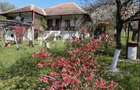 Casă cu 3 camere cu Teren 8000 Mp în Lumnic - 1