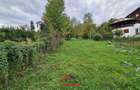 Teren intravilan in Poiana Campina --3676 mp--8e - 12