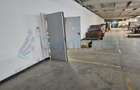 Spațiu industrial, în Pecica - 13