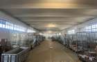 Spatiu industrial de inchiriat, 1200 mp, zona Sud - 1