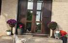 Vand urgent casa Sendreni - 1