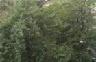 Apartament inchiriere 2 camere Gheorgheni - 3