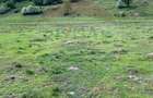 Teren de 5000 mp, în Vama Buzăului - 8