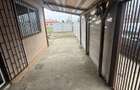 Casa 3 camere Smeeni - 5