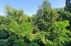 Apartament cu 5 camere decomandat în Floreasca - 2