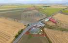 Teren agricol extravilan de 4200 mp, în Nord-Est - 11