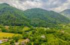 Teren intravilan de 1863 mp, în Tohănița - 2