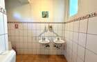 Casă individuală cu 10 camere cu Canalizare în Brâncoveanu - 23