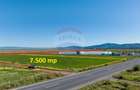 Teren agricol intravilan de 7500 mp, în Tărlungeni - 9