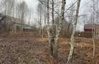 Teren intravilan 520 mp Valea Avrigului ideal cabana A-frame - 1