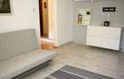 Apartament cu 2 camere semidecomandat în 1 Decembrie 1918 - 11