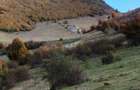 Teren 10.000 mp- Zona Montana Salbatica (Valea Mare Prava?-AG) , Panorama Iezer-Papu?a - 6