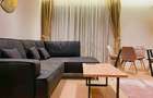 Apartament cu 2 camere semidecomandat în Herăstrău - 8