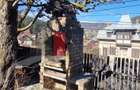 Casă cu 3 camere cu Teren 272 Mp în Bușteni - 6