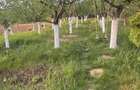 Casă cu 4 camere cu Teren 750 Mp în Sâncraiu de Mureș - 11