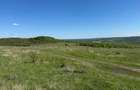 48 Hectare Teren extravilan arabil 5800 Ha euro - 4