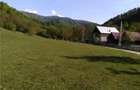 Teren Valea Aleului(pensiune, casa vacanta) 5500 mp