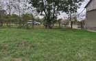 Teren de 1460 mp, în Măureni - 10