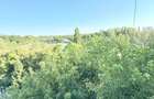 Baneasa-Parcul Herăstrău/ Strada Elena Văcărescu/ Prima închiriere după renovare - 15