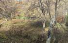 Vand teren intravilan - 7