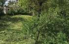 PROPRIETAR Casa la strada principala, teren 1.100 mp, gradina cu pomi fructiferi, Campuri Vrancea. - 15