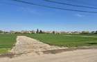 Doua loturi de teren de 522mp ?i 536mp, Snagov-Ciofliceni - Ciofliceni (Bucuresti-Ilfov)
