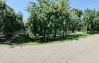 Casă cu 3 camere cu Teren 829 Mp în Brazii - 2