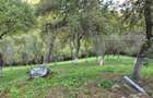 Casa 3 camere, 55 mp, teren 23.000 mp, zona pitoreasca-Poiana Marului