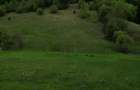 Teren Podul Dambovitei,Lunca Cheii , Arges - 5