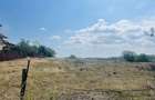 Teren de vanzare CAI?ILOR - 3