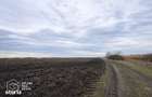 Teren agricol de vanzare, 17.900 mp, comuna Utvin - 3