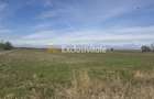 Teren Intravilan com. Ratesti - 3