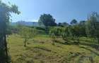 Teren intravilan ?i casa de vanzare, 3980 mp - 4
