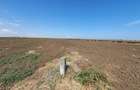 Teren 816 mp la Plaja Pescăruș (23 August) – 2 loturi alăturate, ideal investiți - 7
