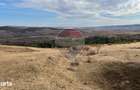 Teren 4000mp Padureni Ciurila in Arenda | Pachet 2 Loturi 7000 mp