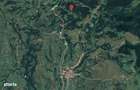 Teren extravilan Domasnea, jud. Caras Severin - 19.06 id R1982376 - 2