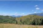 Teren extravilan 46.050 mp, Sat ?irnea, Comuna Fundata! - 3