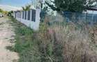 Vand teren 566mp in Joi?a - 8