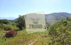 Teren intravilan cu PUZ de 1409 mp in Cisnadioara