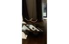 REA1025927 Penthouse pe 2 niveluri I Inaltime 8 metri I Zona Floreasca