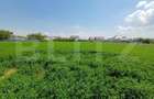 Teren de vanzare intravilan, 72 ari, zona Salcea - 4