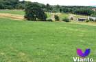 Oportunitate-Teren Extravilan 6200 mp cu vedere Panoramica-Tropinii No - 4