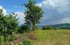 Teren de vanzare Ro?ia, Bihor - 3