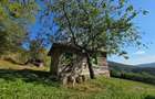 Vand teren 10,5 ha cu casa si sura, 3 izvoare, Bistrita - 3