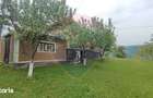 De vanzare casa cu teren 1,17ha la munte, Munteni, Bulz, spre Hiltop - 5