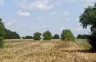 Oportunitate de investitie Teren 3.000 mp in Gruiu, Ilfov - 6