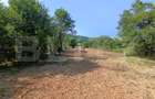 Casa cu 2 camere, 250 mp, zona sud-est - 13