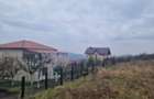 Teren Construcții extravilan de 1500 mp, în Iris - 2