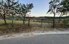 Vand teren intravilan construibil cu panorama deosebita - 2453 mp Rosia - 4
