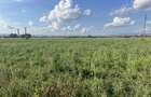 Teren extravilan 7,33 ha - 5